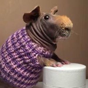 Meet your Posher, Kyleigh